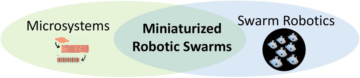 Venn diagram: Microsystems and Swarm Robotics overlap in Miniaturized Robotic Swarms